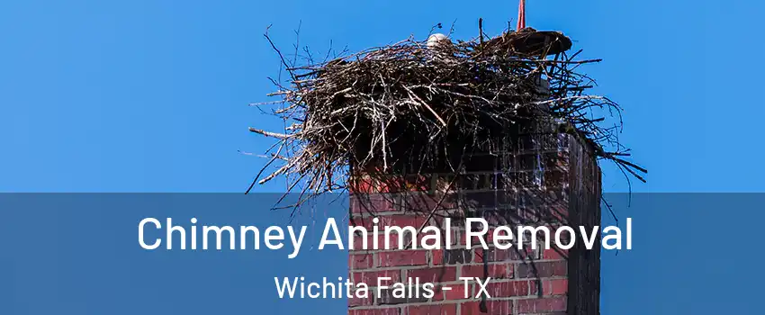  Chimney Animal Removal Wichita Falls - TX