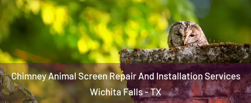  Chimney Animal Screen Repair And Installation Services Wichita Falls - TX
