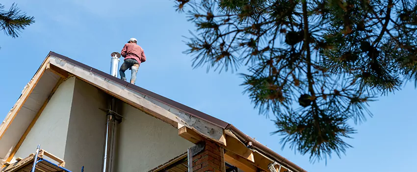 Birds Removal Contractors from Chimney in Wichita Falls, TX