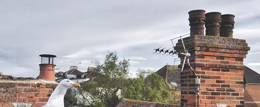 Chimney Cleaning And Restoration in Wichita Falls, Texas